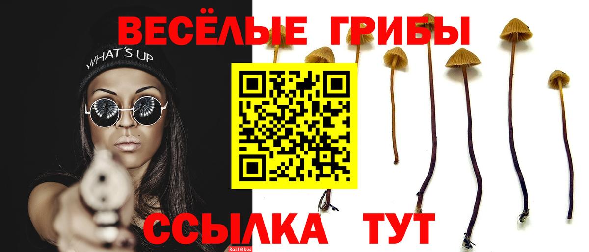 Галлюциногенные грибы Magic Shrooms Армавир